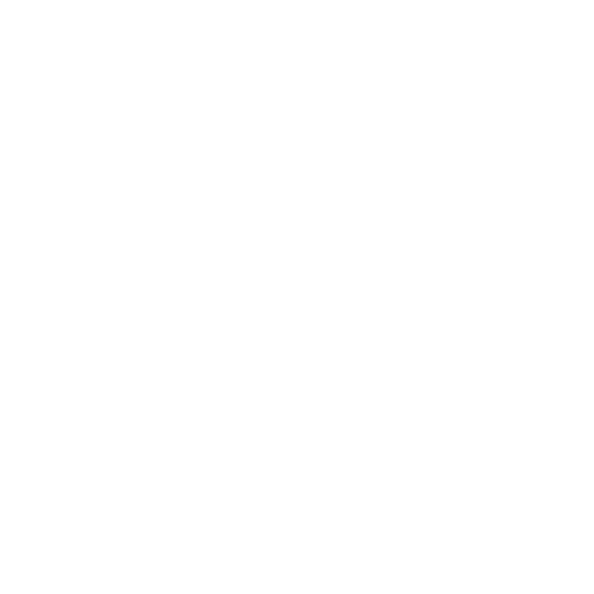 OptiPortfolio Logo